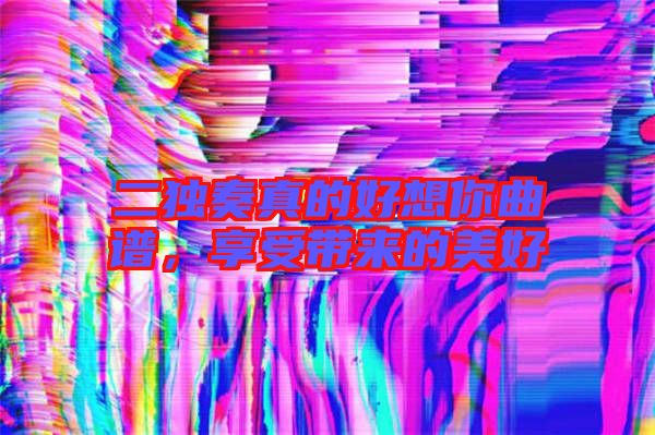 二獨奏真的好想你曲譜，享受帶來的美好