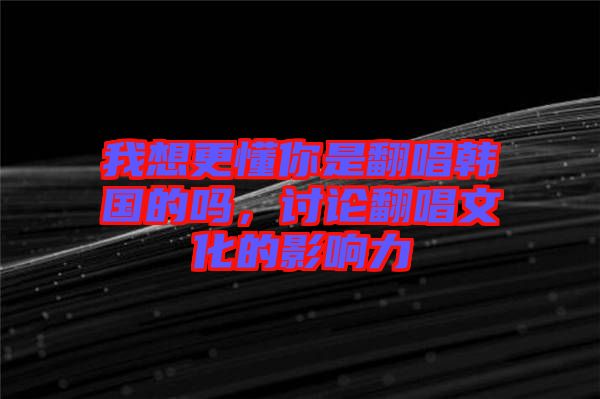 我想更懂你是翻唱韓國的嗎，討論翻唱文化的影響力
