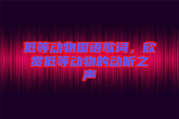 低等動物國語歌詞，欣賞低等動物的動聽之聲