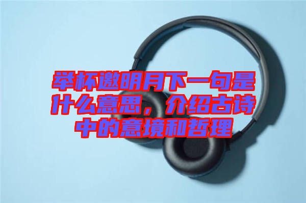 舉杯邀明月下一句是什么意思，介紹古詩中的意境和哲理
