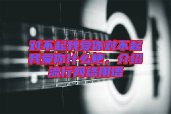 對不起我愛你對不起我愛你什么梗，介紹流行網絡用語