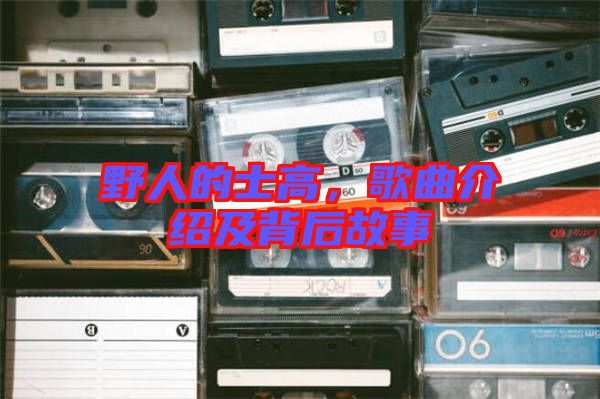 野人的士高，歌曲介紹及背后故事