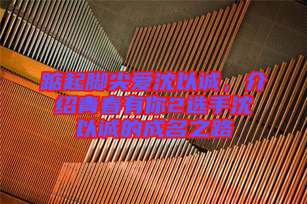 踮起腳尖愛(ài)沈以誠(chéng)，介紹青春有你2選手沈以誠(chéng)的成名之路