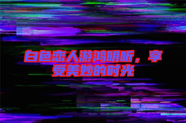 白色戀人游鴻明聽，享受美妙的時光