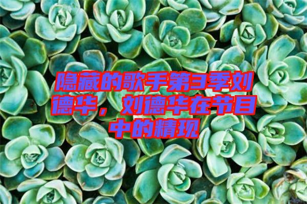隱藏的歌手第3季劉德華，劉德華在節目中的精現