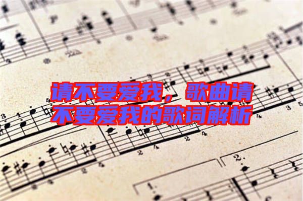 請不要愛我，歌曲請不要愛我的歌詞解析