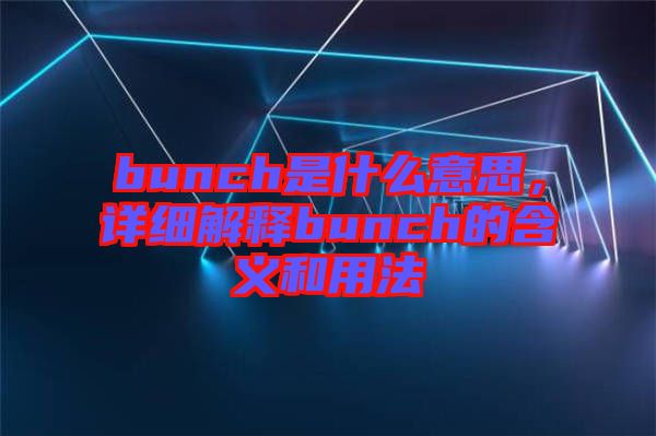 bunch是什么意思，詳細解釋bunch的含義和用法