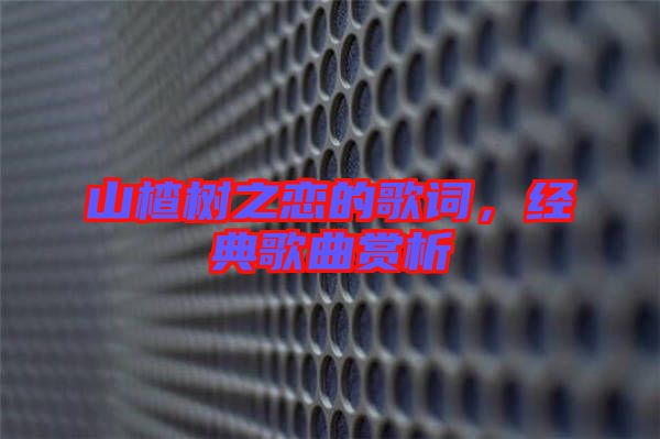 山楂樹之戀的歌詞，經典歌曲賞析