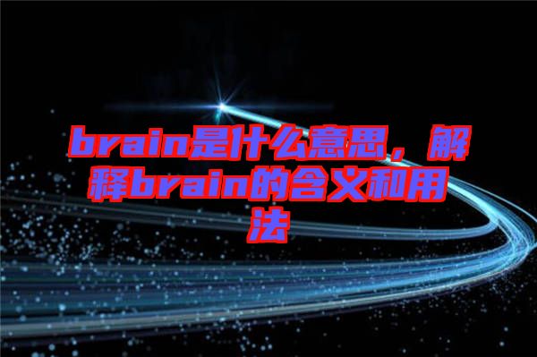brain是什么意思，解釋brain的含義和用法