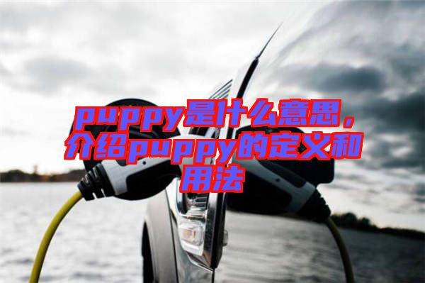 puppy是什么意思，介紹puppy的定義和用法
