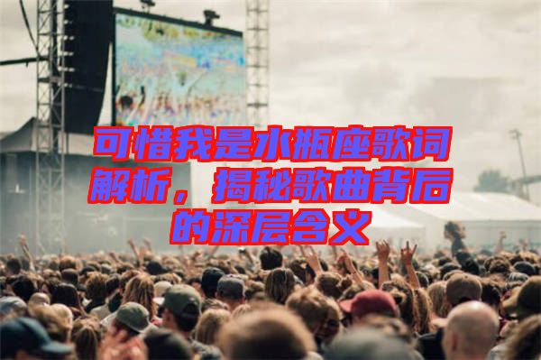 可惜我是水瓶座歌詞解析，揭秘歌曲背后的深層含義