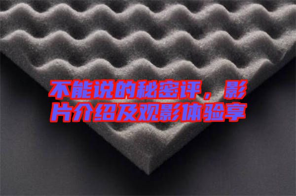 不能說的秘密評，影片介紹及觀影體驗享