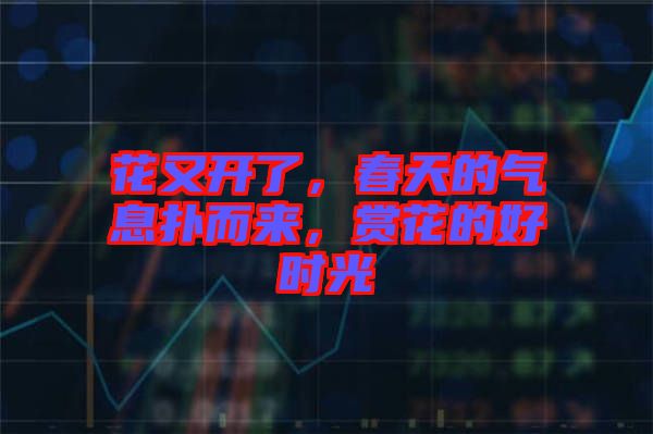 花又開了，春天的氣息撲而來，賞花的好時光