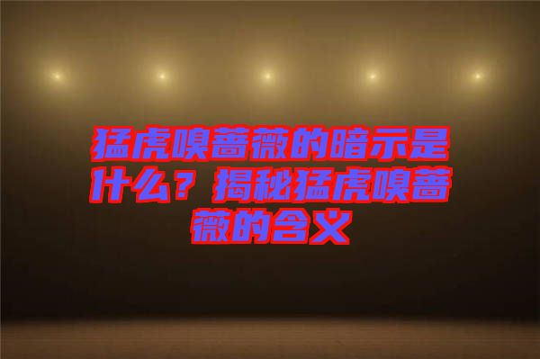猛虎嗅薔薇的暗示是什么？揭秘猛虎嗅薔薇的含義