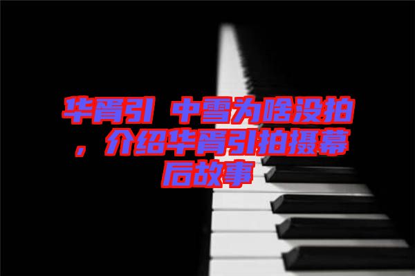 華胥引柸中雪為啥沒(méi)拍，介紹華胥引拍攝幕后故事
