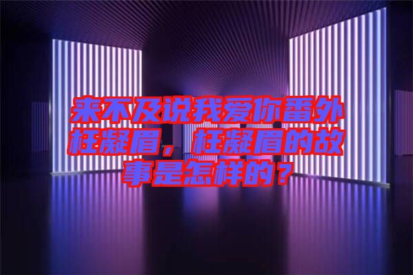 來(lái)不及說(shuō)我愛你番外枉凝眉，枉凝眉的故事是怎樣的？