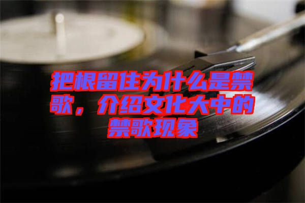 把根留住為什么是禁歌，介紹文化大中的禁歌現(xiàn)象