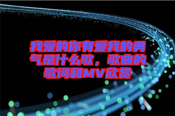 我愛的你有愛我的勇氣是什么歌，歌曲的歌詞和MV欣賞