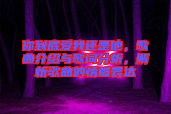 你到底愛我還是他，歌曲介紹與歌詞分析，解析歌曲的情感表達