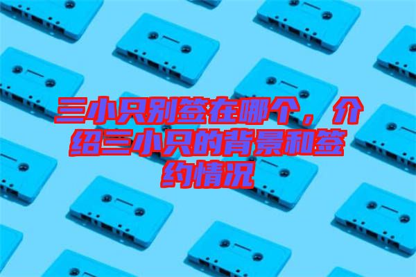 三小只別簽在哪個，介紹三小只的背景和簽約情況
