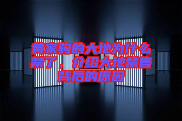黃家駒的大地為什么禁了，介紹大地禁售背后的原因