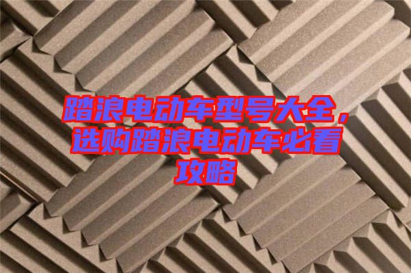 踏浪電動車型號大全，選購踏浪電動車必看攻略