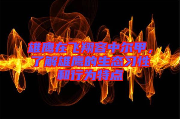雄鷹在飛翔容中爾甲，了解雄鷹的生態習性和行為特點