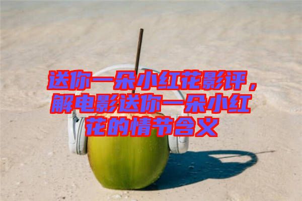 送你一朵小紅花影評(píng)，解電影送你一朵小紅花的情節(jié)含義