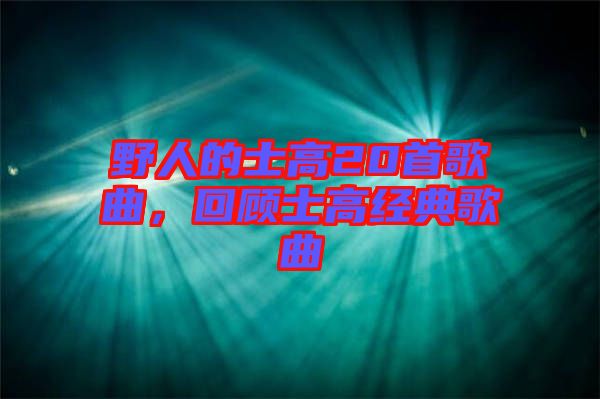 野人的士高20首歌曲，回顧士高經典歌曲