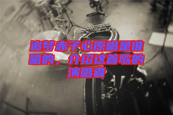 追夢赤子心原唱是誰唱的，介紹這首歌的演唱者