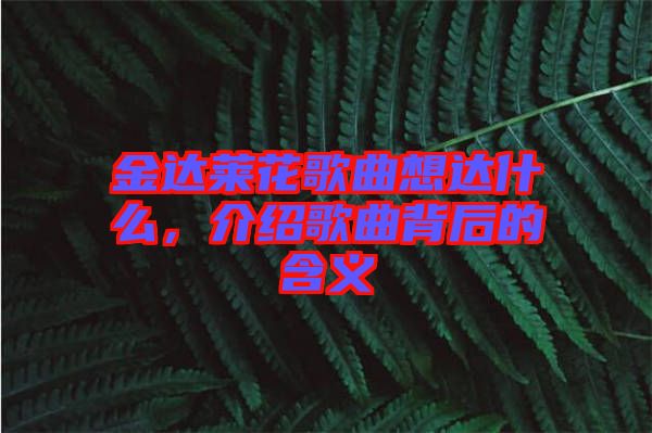 金達萊花歌曲想達什么，介紹歌曲背后的含義
